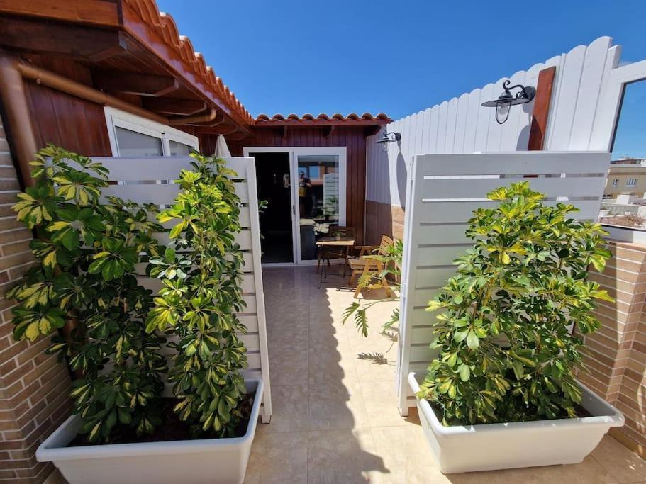 Vintage & Deluxe Apartments Puerto del Rosario  Exteriér fotografie